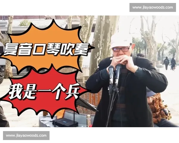 激情四溢口琴比赛精彩瞬间全记录展现音乐魅力与技巧较量