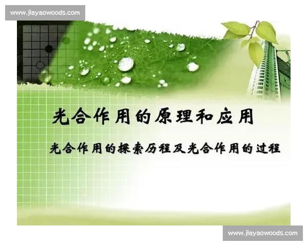 提升运动表现的心理策略研究与实践应用探索与分析