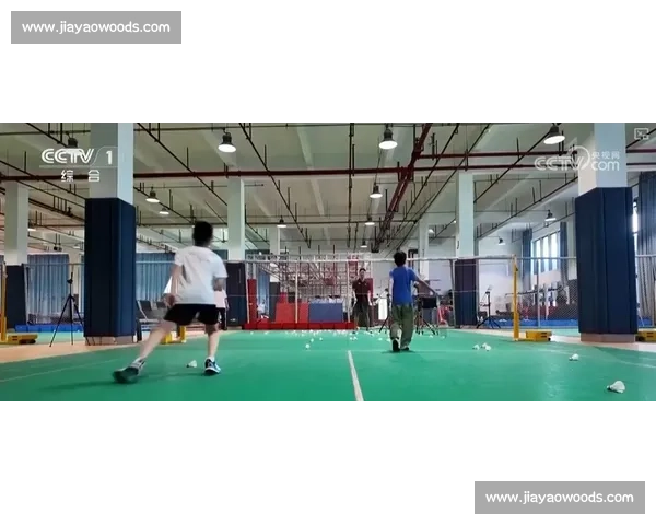 郑赛赛精彩赛场表现引领羽毛球新一轮竞技热潮